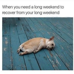 Meet your Posher, Thomas